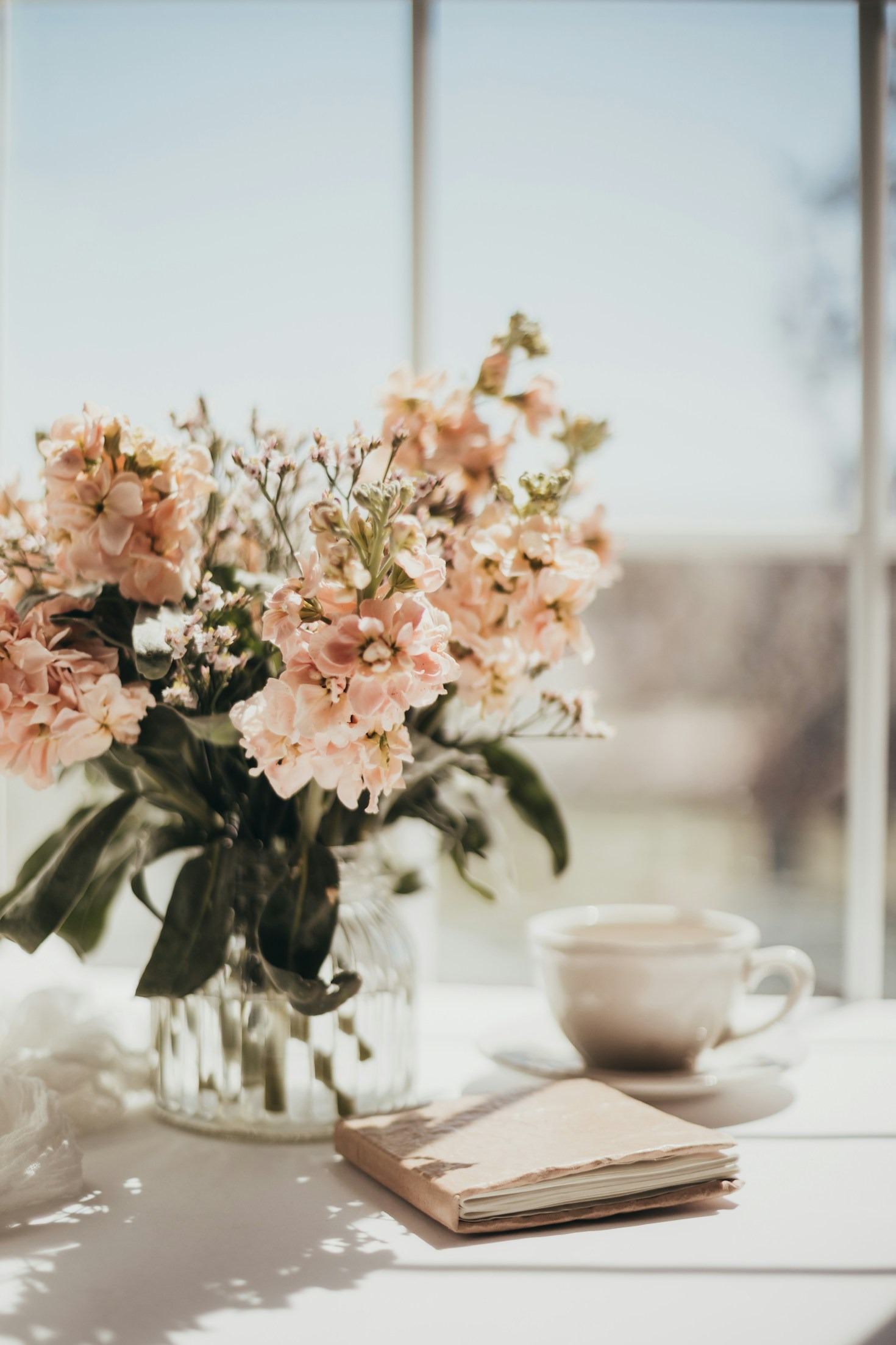 featured-image-6